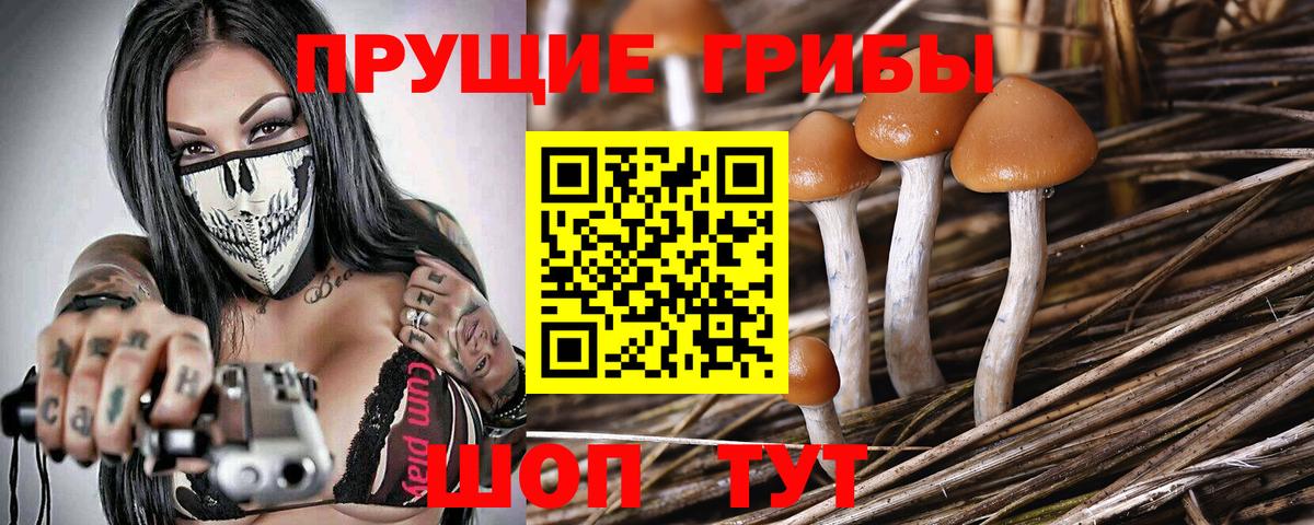 Ростов-на-Дону  где найти наркотики  Вход с VPN  Псилоцибиновые грибы мицелий 